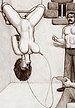 Sex trained upside down - you gonna learn to use this cunt of yours, slave by Badia